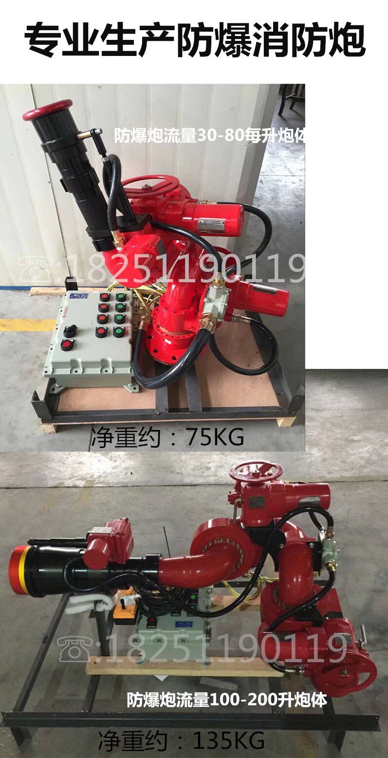 380V flame-proof fire cannons PSKD100EX electric control explosion protection cannons 120L DC spray ammonia station pier 150 litres