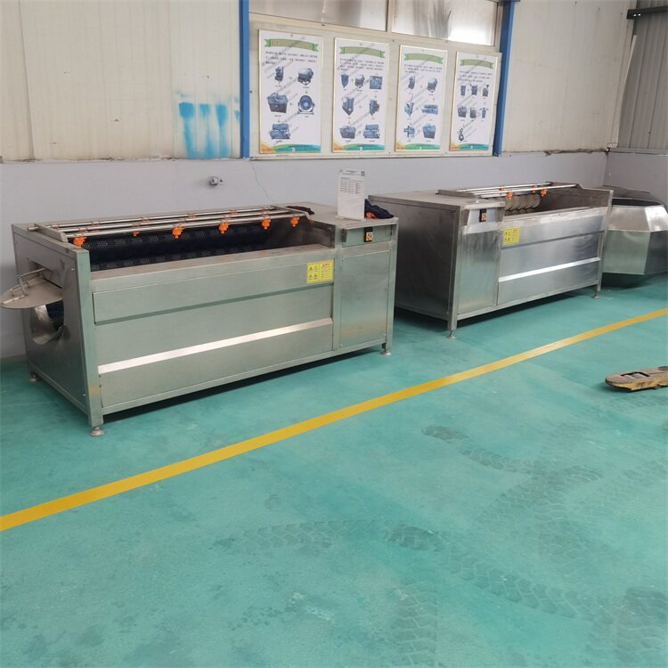 Zhucheng manufacturer direct hair roller cleaning machine Commercial large shellfish root stem type fruit and vegetable cleaner spot straight for-Taobao