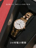 [New Year's Gift] Dw Watch for Women Iconic Series Fashionable Small Stainless Steel Dial Quartz Watch Rose Gold Color