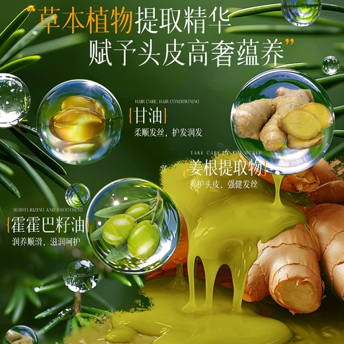 博倩 Массажный крем с имбирем для кожи головы, питательная маска для волос, лечебный кондиционер, уход за волосами