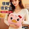 Rechargeable Hot Water Bottle, Explosion-Proof Hand Warmer, Electric Heating Pad, Hot Compress for Stomach, Winter Hand Warmer