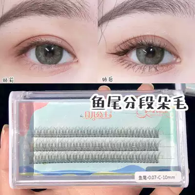 Princess of the Moon, false eyelashes, female supernatural segmented hair, single cluster of fish tail, swallowtail grafting single plant C- warped 0 07