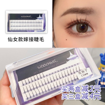 Meng Shuoer Fairy False Eyelashes Fairy B- type Grafted Eyelash Fiber Segmented Simulation Hair
