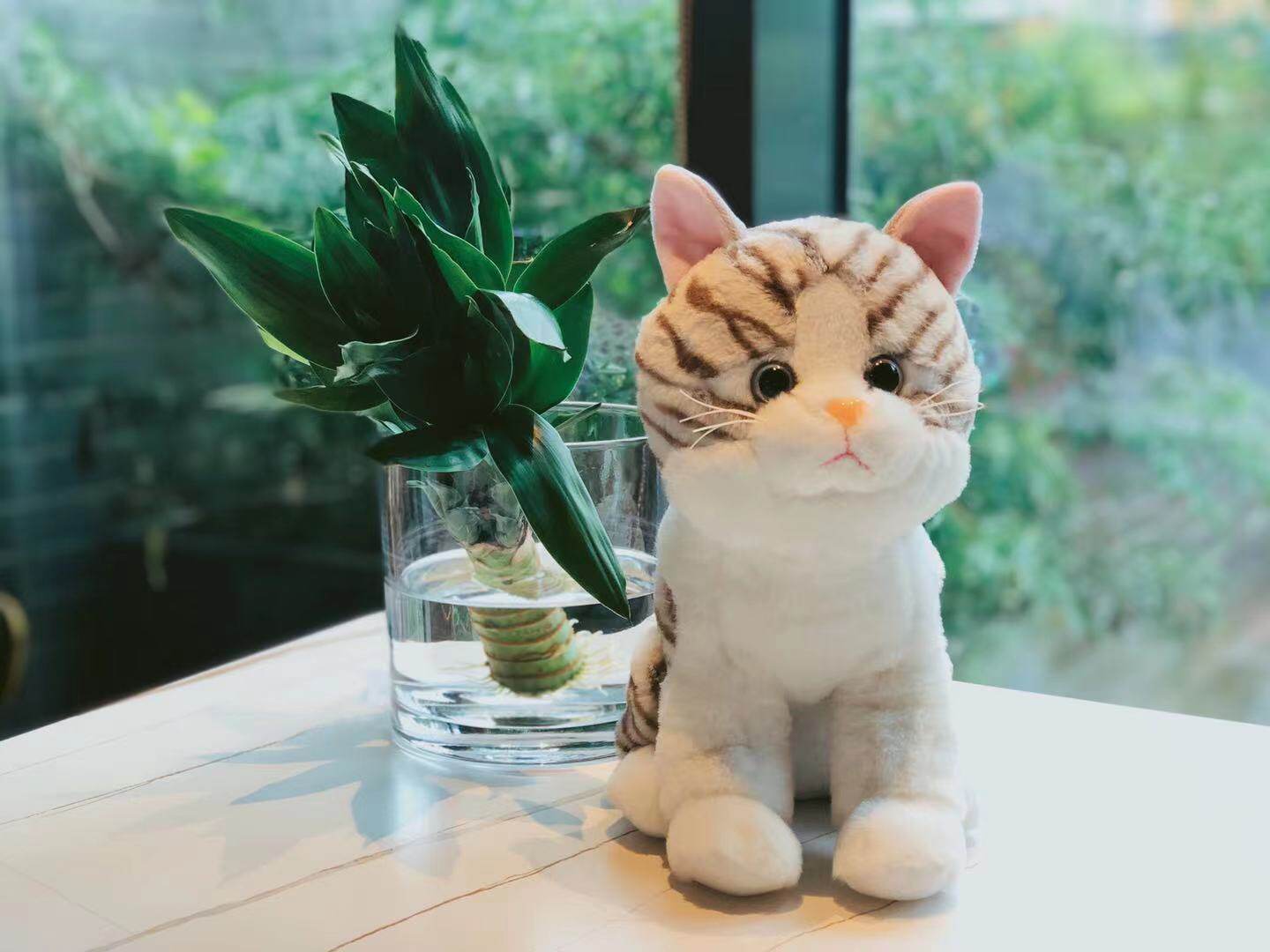 Pro-Taier cat plush toy cat star simulation cat Chinese pastoral cat pet toy healing small cat