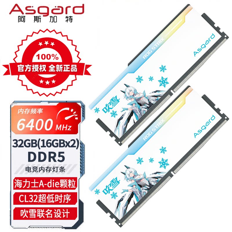 Asgard 16gx2 ddr5 6400 memory module, a joint model with snow