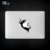 16_Разбить кота