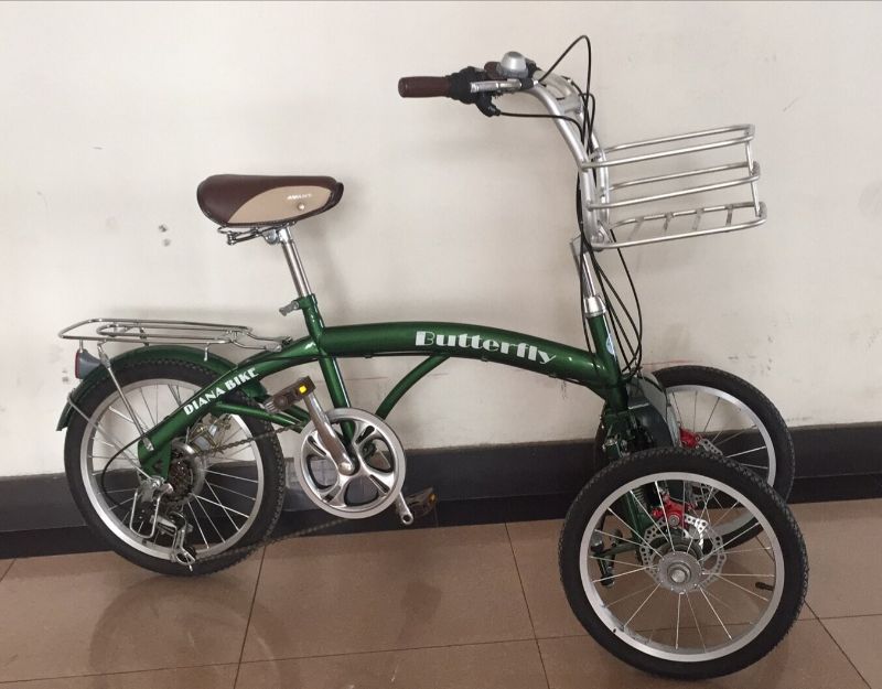 Buy KoreanStyle Tricycle PreTwoWheel Swing Car Reverse Tricycle on
