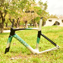 CECCOTTI DC027 fully internal disc brake road bike carbon fiber frame non-vehicle price