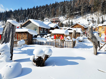 New anchor background cloth shake sound Rural old house snow scene live back wall 3D three-dimensional cave grassland background