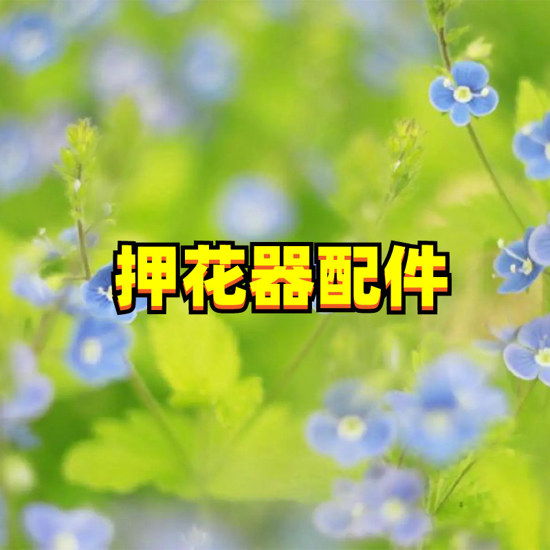 Pawnflower Embossing Tool Tool Replacement Accessories Non-woven Fabric Augen Yarn Lining Paper Sponge Strap Pawnbroker Material-Taobao