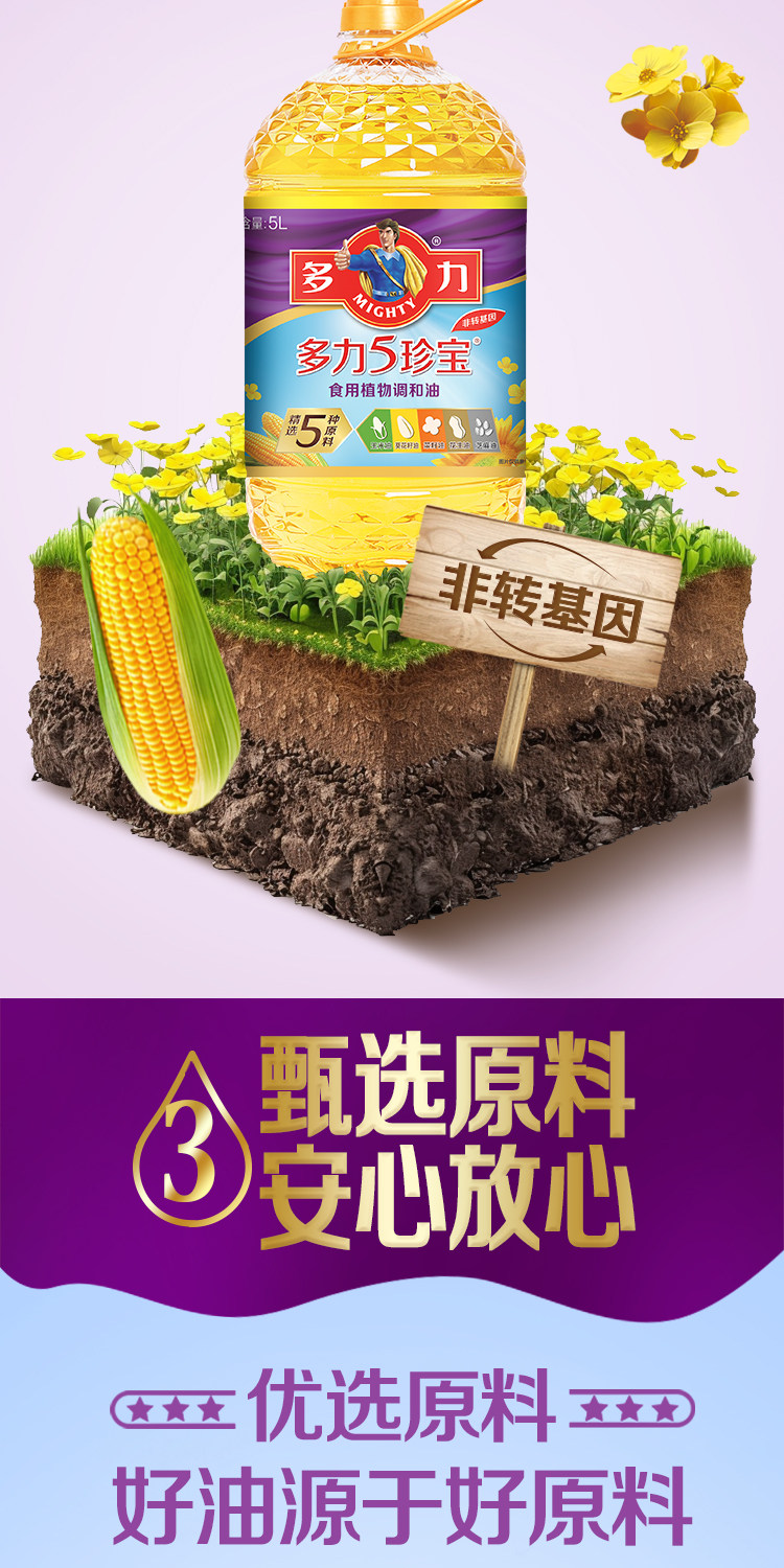 安享好物 安享A级调和油-多力5珍宝调和油 企标
