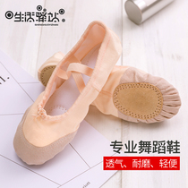  Dance shoes Womens soft-soled practice shoes Adult ballet shoes Womens childrens body dance shoes Girls cat claw shoes Men