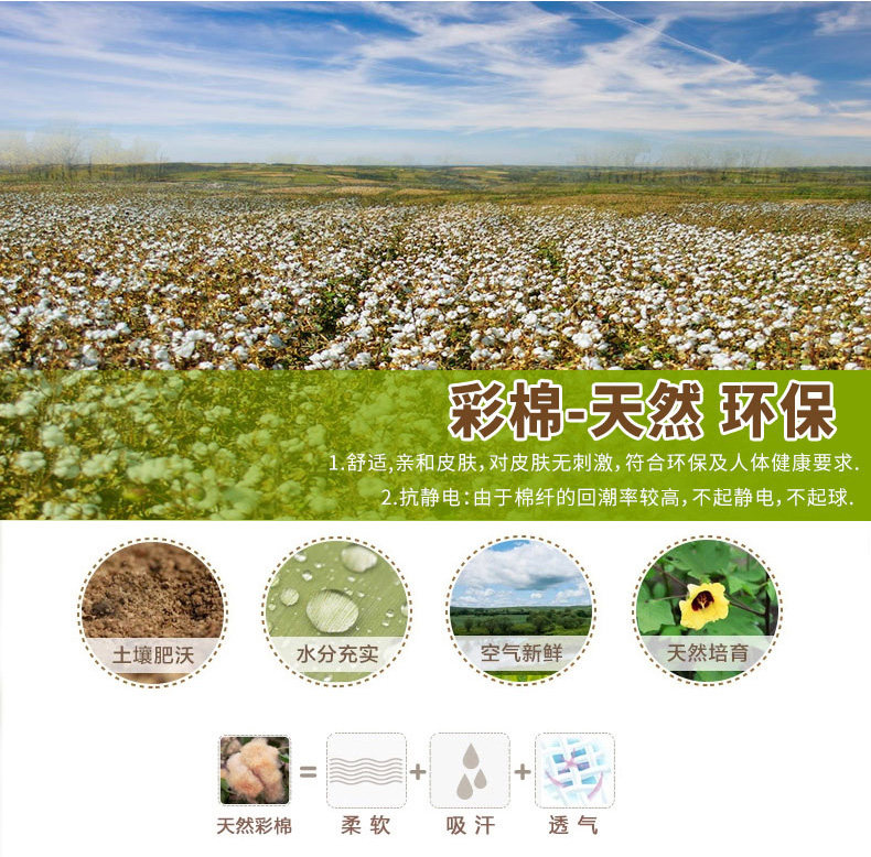 цвет хлопок Quilt_01.jpg