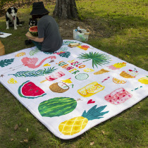 Outdoor ins wind moisture-proof picnic mat thickened spring mat Lawn park waterproof outing oversized tent mat