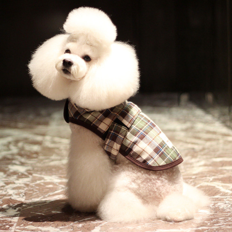 Special prices Nickwell Pet Teddy Dog Dress Teddy Bear with Two-Foots Magic for Warm Thin Fluff