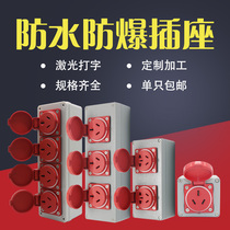 New Guozhong Outdoor Waterproof Socket 10a16a Three - hole Fire Panel Red Panel Fire Industrial Explosion Protection Socket
