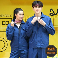 Серый топ рога орхидеи