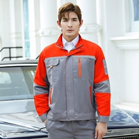 Пять династий на апельсиновом сером (одиночная рубашка)