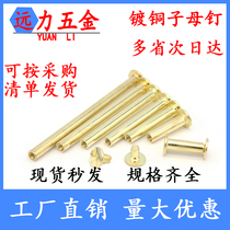 Copper-plated ledger screws mother-and-child nails sample book nails butt screws cookbook nails binding nails M5-100mm