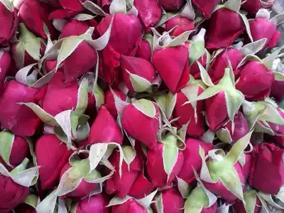 Fresh roses Yunnan edible roses red red red red red from 3kg