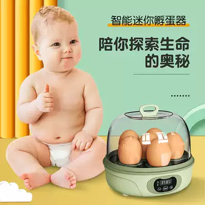 Weiqian mini science and education incubator Chicken, duck and bird eggs Small children's egg hatcher Household intelligent constant temperature hatching box