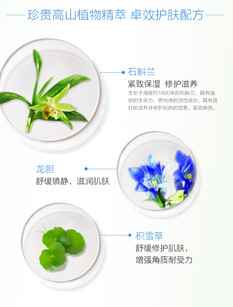Botanist Dendrobium Muscle Foundation Facial Serum Fine lỗ chân lông làm săn chắc da Làm sáng tông màu da tinh chất cá hồi