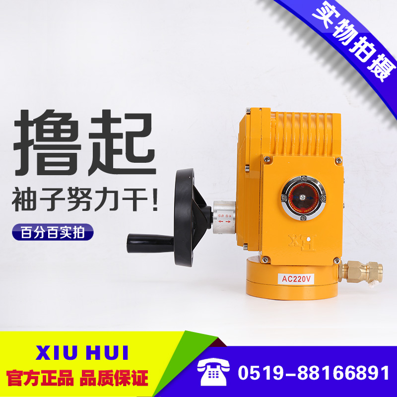 Explosion-proof actuator electric head fine small electric head ball valve Butterfly valve electric device type 05-60