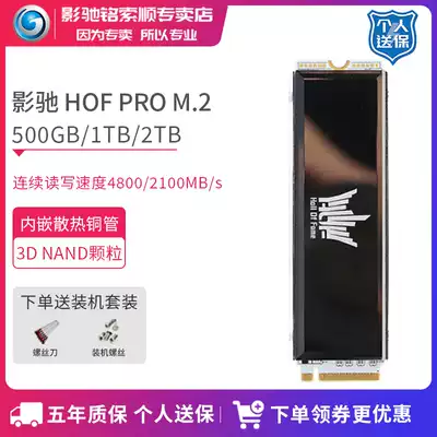 Shadow Chi Hall of Fame HOF PRO M 2 PCIe 4 0 2280 1TB desktop computer SSD solid state drive