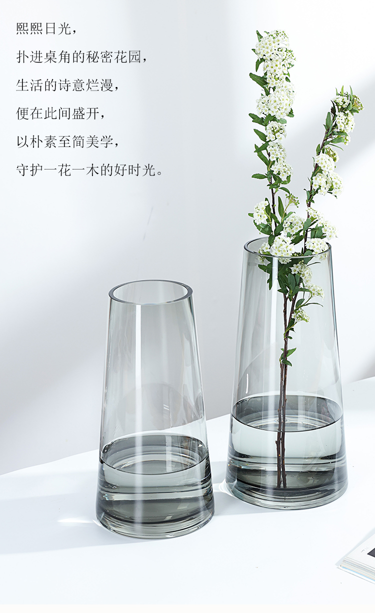 新品上市 北歐創意簡約ins 風玻璃花瓶水養透明網紅客廳插花瓶干花裝飾擺件 露天拍賣
