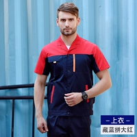 X100 Лето короткая тибетская голубая кровя