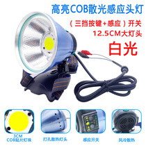 Sword bright lamp head 12V battery external connector Wear type large spot super bright LED catch eel fishing light astigmatism light
