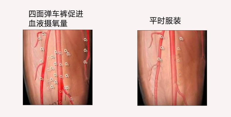 Tenue de cyclisme femme TOP CYCLING - Ref 2230902 Image 89