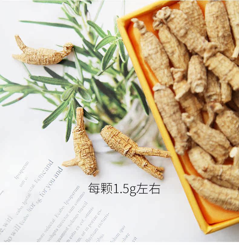 American Ginseng-Original Tail Bubble_05.jpg