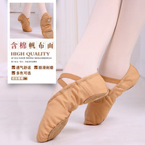 Dance shoes female soft bottom practice shoes ballet dancing male cat claw children adult camel pink Chinese major