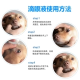 Немецкий Терри собака, чтобы разорвать большие парикмахерские кот слезы слезы