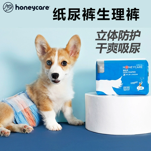 Подгузник для подгузников по медовому убору Физиологические штаны Физиологические штаны Тедди моча не намочить санитарную салфетку, киска менструальные брюки.