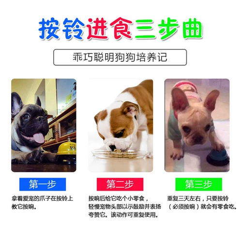 Интерактивный колокольчик для тренировок, домашний питомец