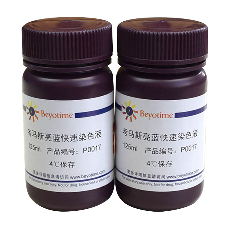 P0017-250ml考马斯亮蓝快速染色液 碧云天
