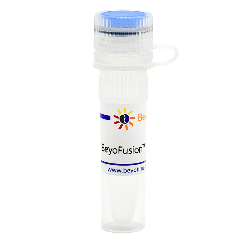 D7250 BeyoFusion? PCR Master Mix (2X) 碧云天生物