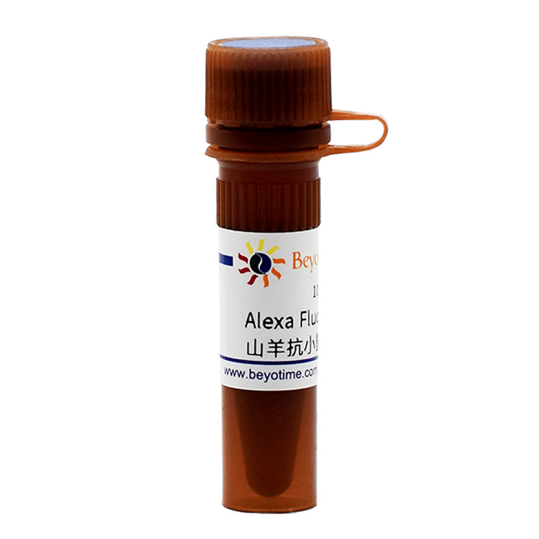 A0473 AF647标记山羊抗小鼠IgG (H+L) 100&mu;l  碧云天