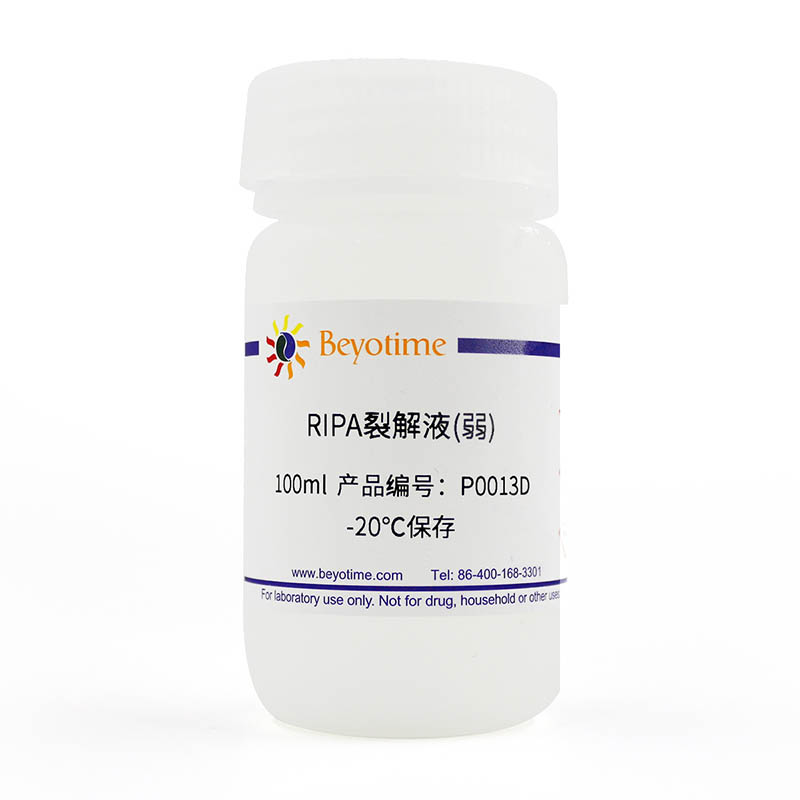 P0013D-100ml RIPA裂解液(弱) 碧云天
