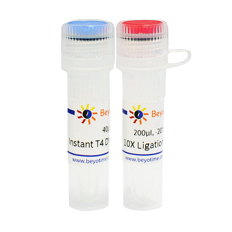 D7009S D7009M Instant T4 DNA Ligase 碧云天
