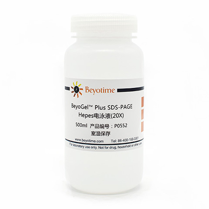 P0552 BeyoGel? Plus SDS-PAGE Hepes电泳液(20X) 碧云天