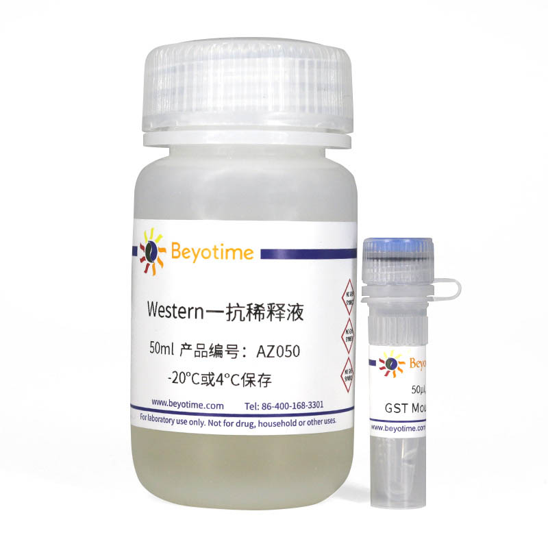 AF0174-50&mu;l，GST Mouse Monoclonal Antibody,碧云天