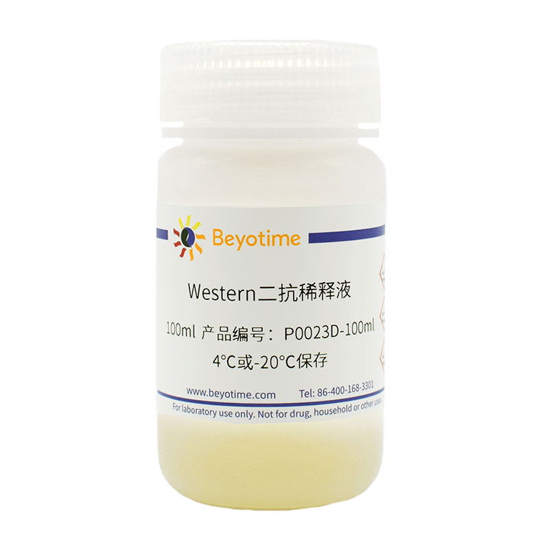 P0023D Western二抗稀释液 碧云天