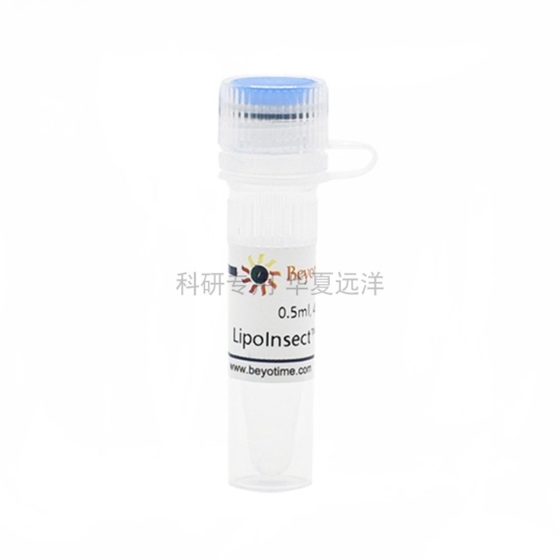 C0551-0.5ml LipoInsect?转染试剂 碧云天