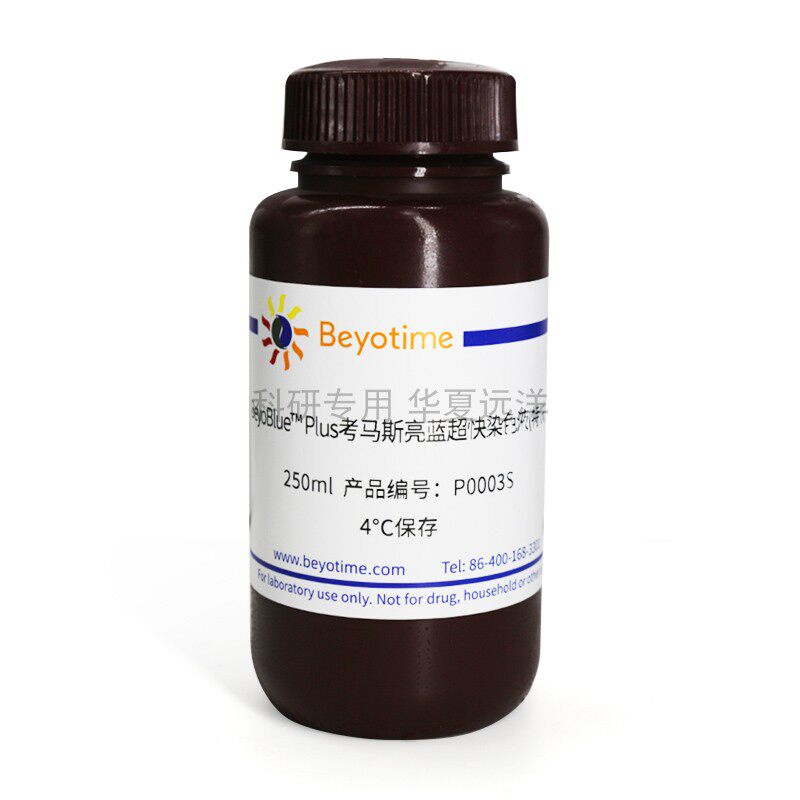 BeyoBlue Plus考马斯亮蓝超快染色液(特快) P0003S P0003M 碧云天