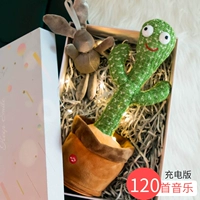 Fairy Palm Gift Box-120 Версия зарядки песни