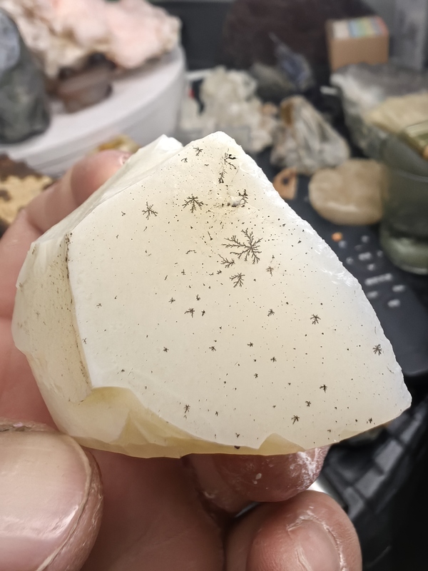 Grass Flower Opal