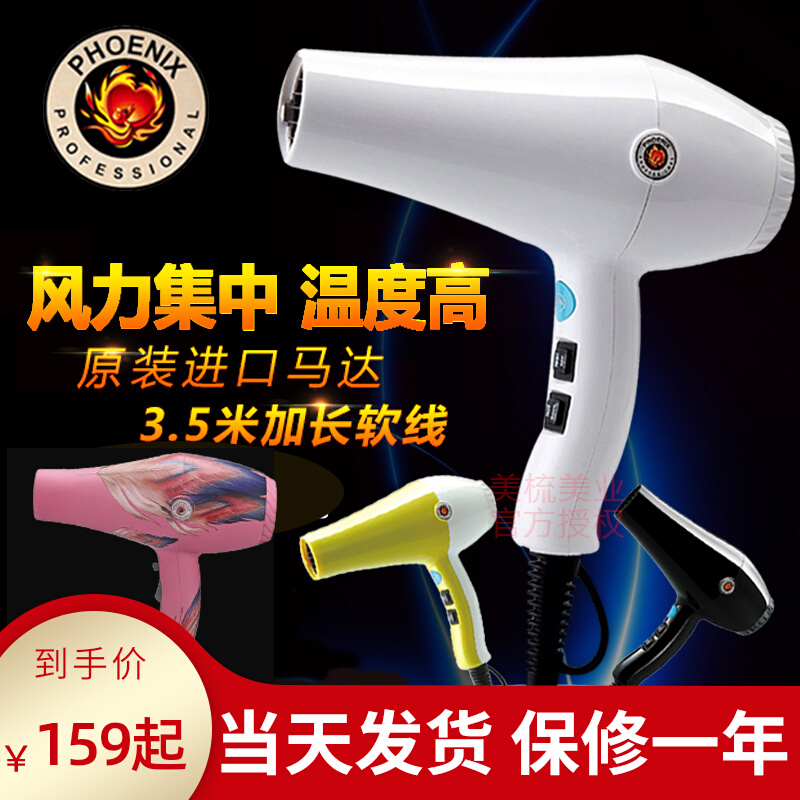 Fire Fengfeng Hairdryer 8960 High Power Hairway Hairdryer Cold and hot wind household